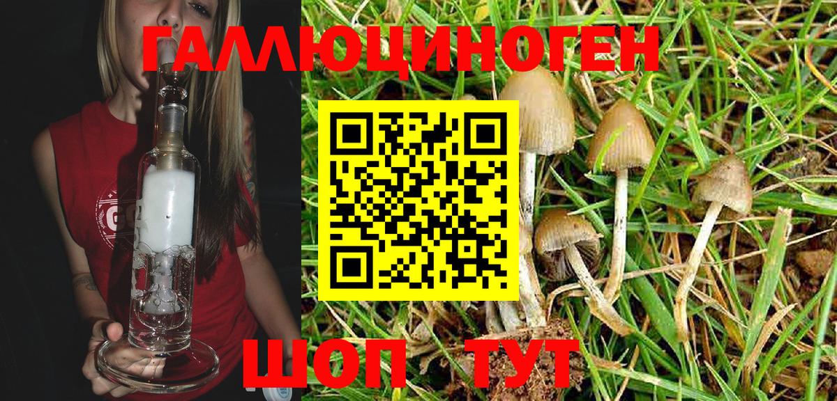 Псилоцибиновые грибы мицелий  Галлюциногенные грибы Magic Shrooms  Бирск  Вход с VPN 